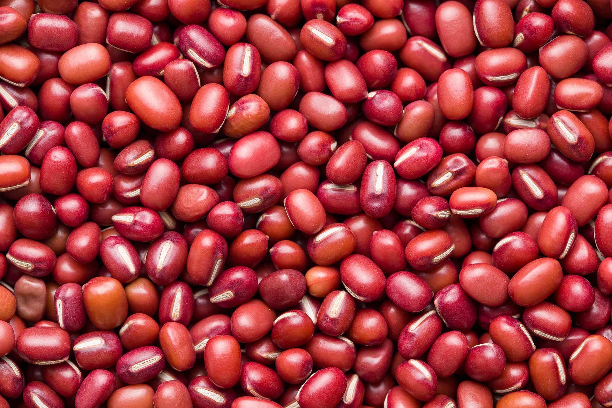 Eshaa Exim gallery — agro products export facility