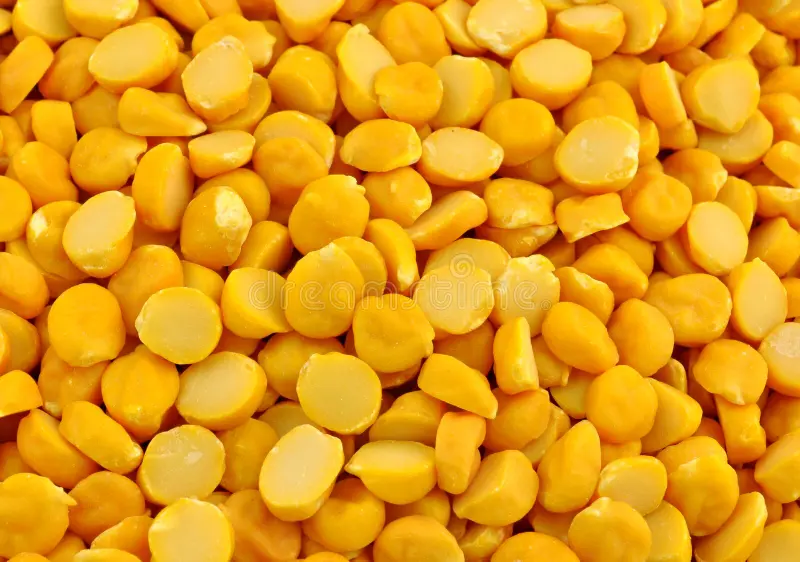 Eshaa Exim gallery — agro products export facility