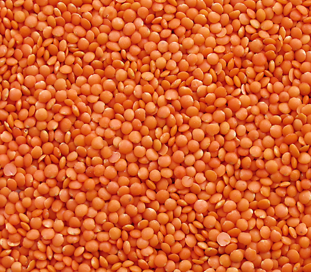 Eshaa Exim gallery — agro products export facility