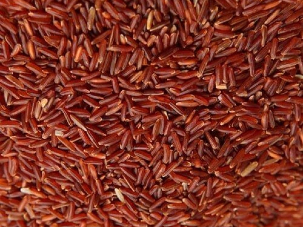 Eshaa Exim gallery — agro products export facility